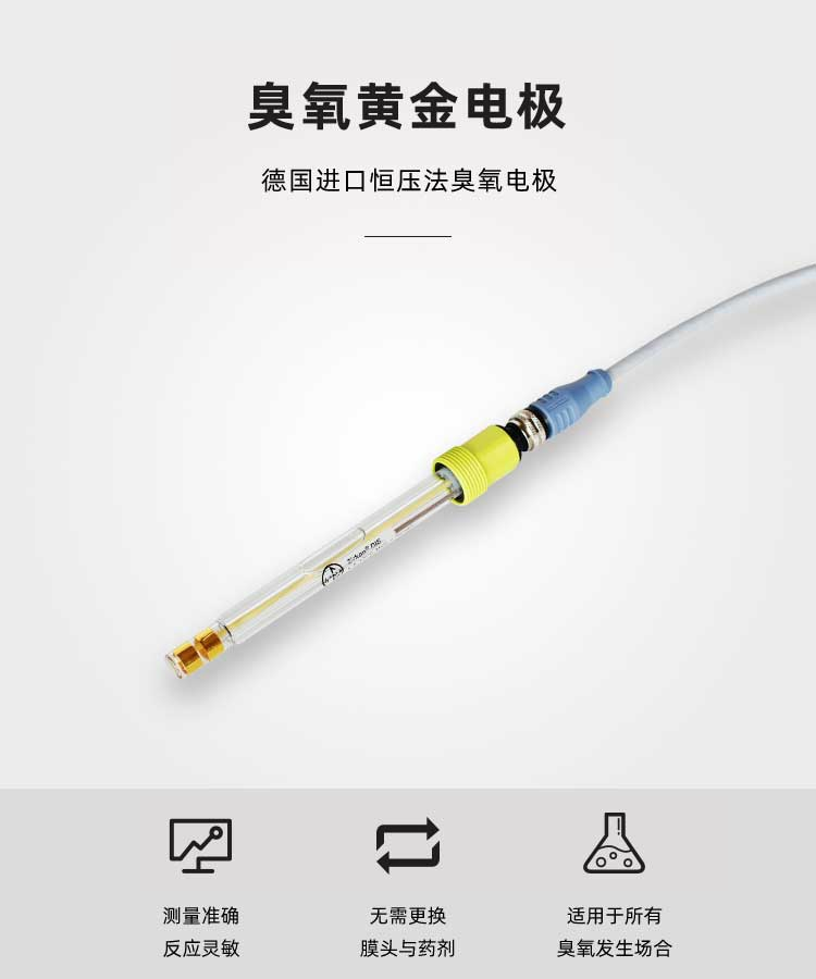 黄金臭氧电极 NB-328 (图1)