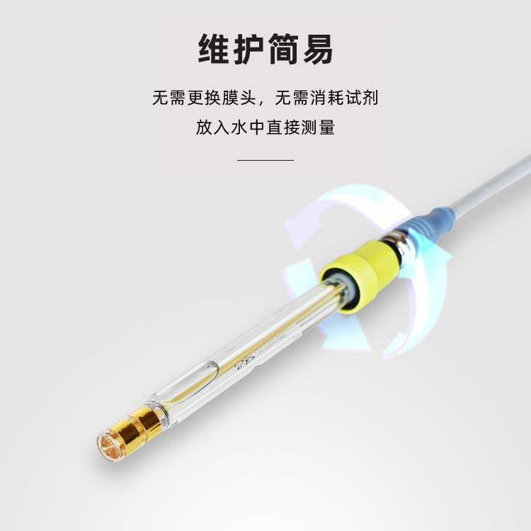 黄金臭氧电极 NB-328 (图3)