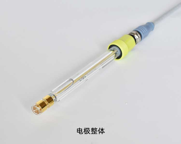 黄金臭氧电极 NB-328 (图6)